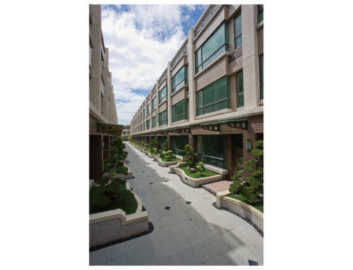 NO.9   案名：松林美學